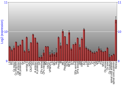 Expression graph