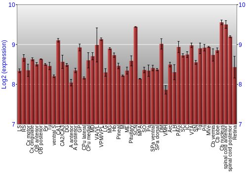 Expression graph