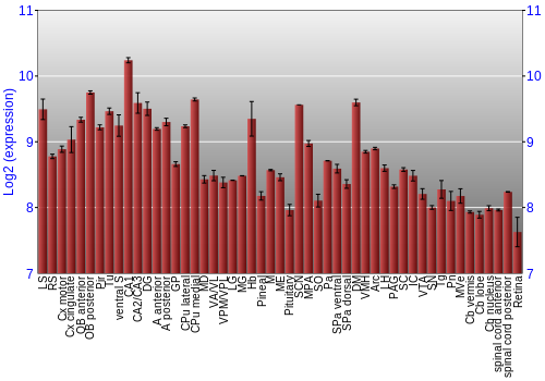 Expression graph
