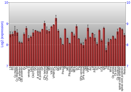 Expression graph