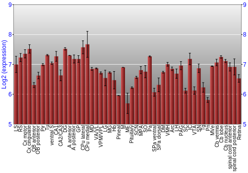 Expression graph