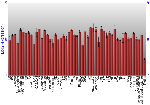 Expression graph