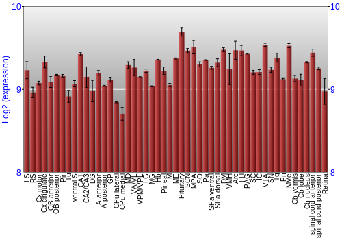 Expression graph