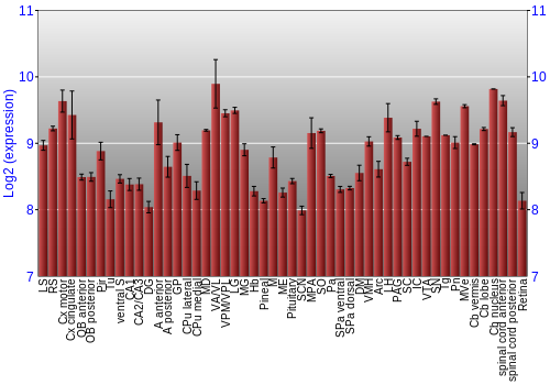 Expression graph