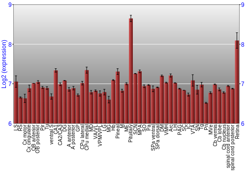 Expression graph