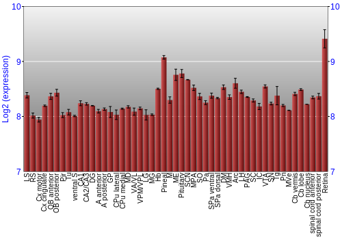 Expression graph