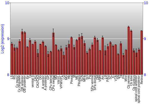 Expression graph