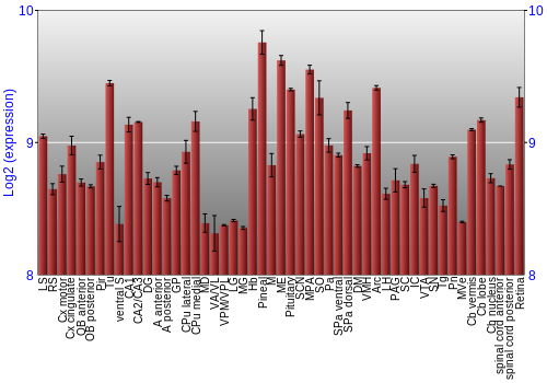 Expression graph