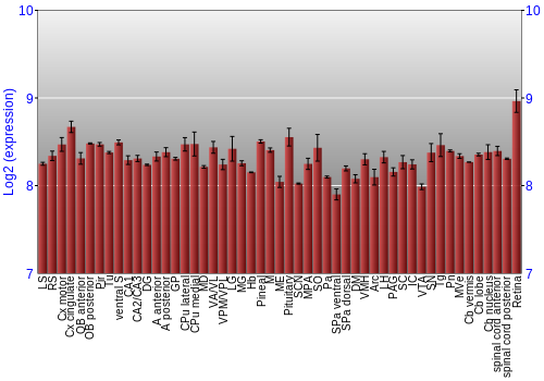 Expression graph