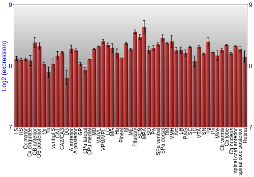 Expression graph