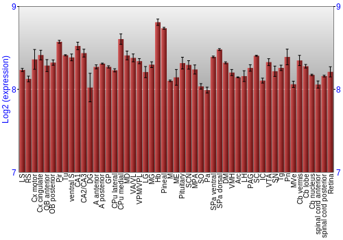 Expression graph