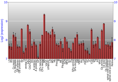 Expression graph