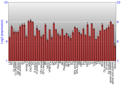 Expression graph