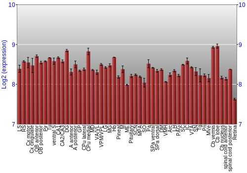 Expression graph