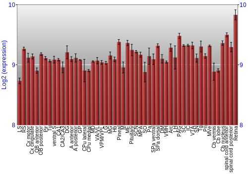 Expression graph