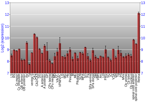 Expression graph