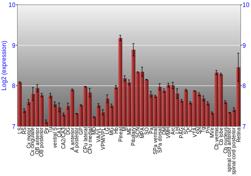 Expression graph