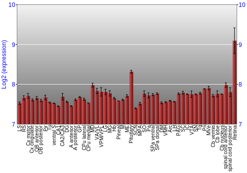 Expression graph