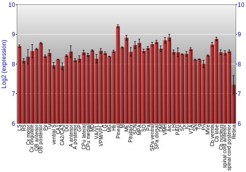 Expression graph