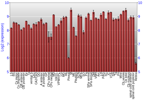 Expression graph