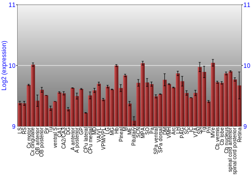 Expression graph