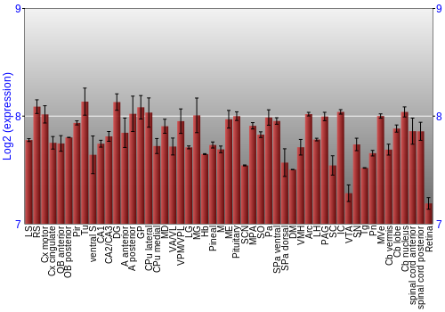 Expression graph