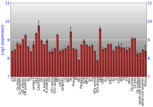 Expression graph