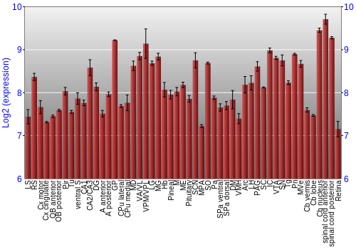 Expression graph