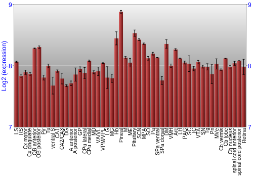Expression graph