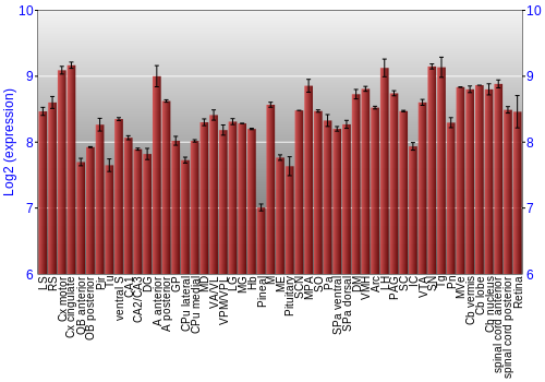 Expression graph