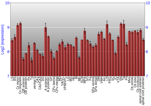 Multi-state expression graph