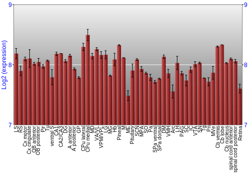 Expression graph