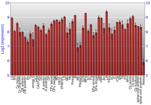 Expression graph