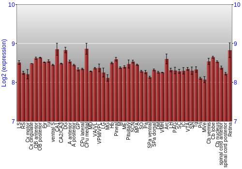 Expression graph