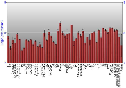 Expression graph