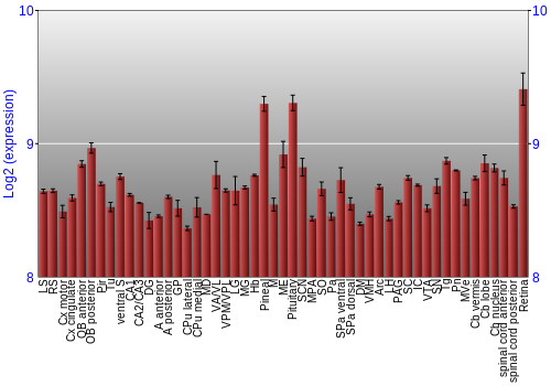 Expression graph