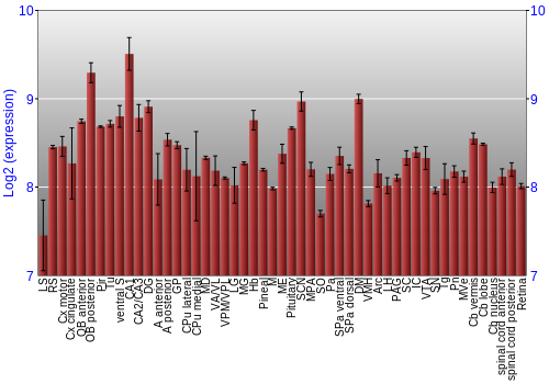 Expression graph