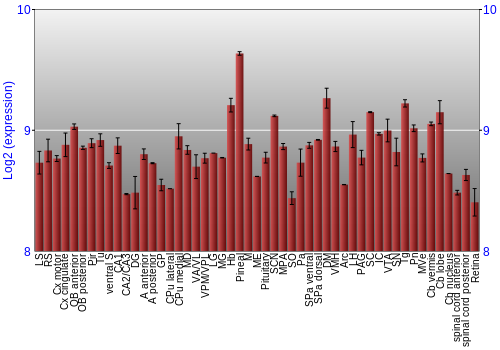 Expression graph