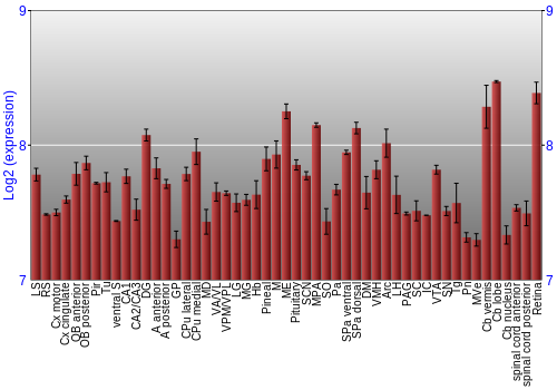 Expression graph