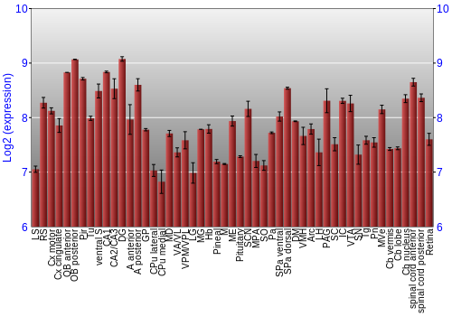 Expression graph