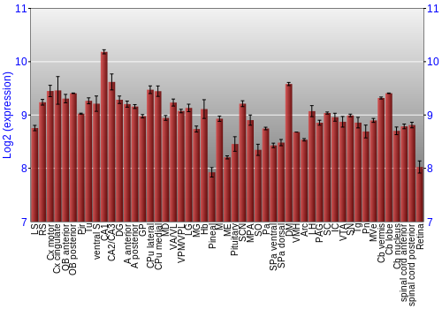 Expression graph