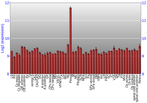 Expression graph