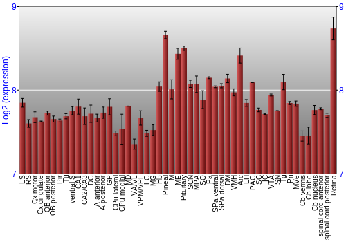 Expression graph