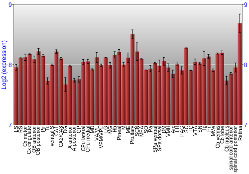 Expression graph