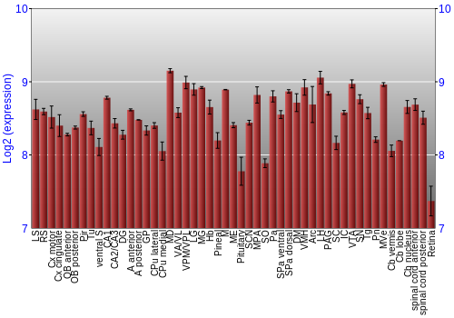 Expression graph