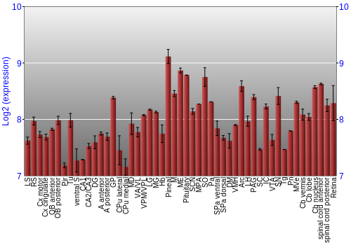 Expression graph
