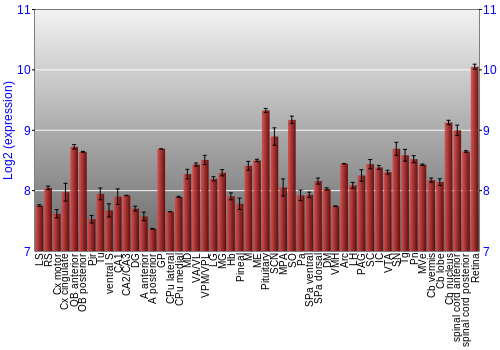 Expression graph