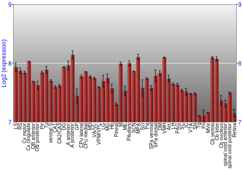 Expression graph