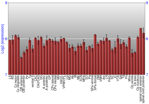 Multi-state expression graph