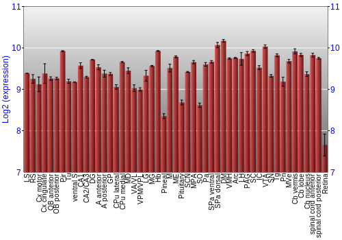 Expression graph